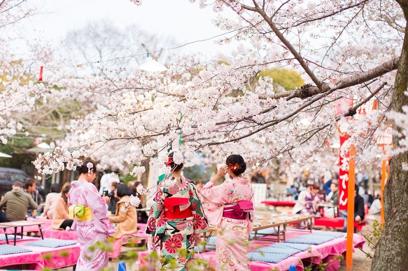 Hanami - Lễ hội ngắm hoa anh đào
