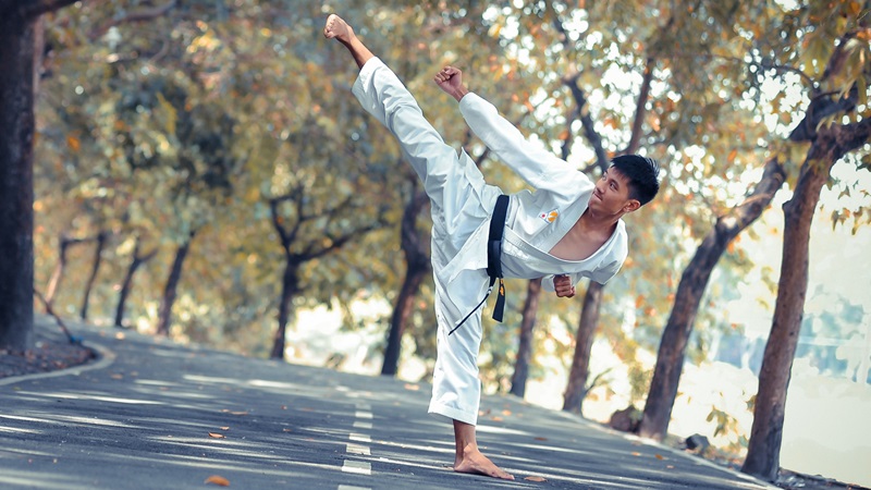 So Sánh Taekwondo và Karatedo